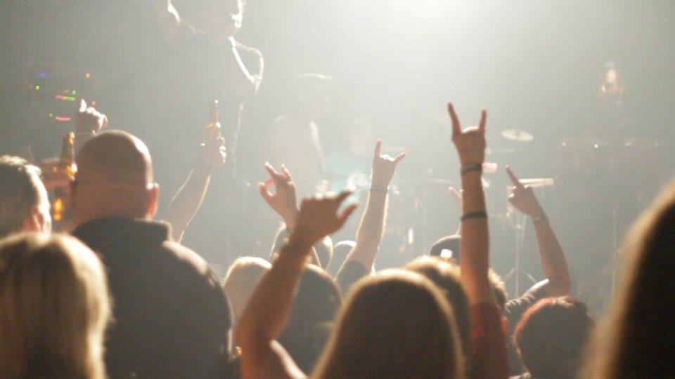 Live at TREES
